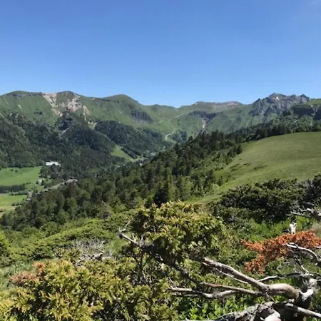 Renove Centre Mont-dore Avec Wifi - Fr-1-608-176 * لو مونت دوري