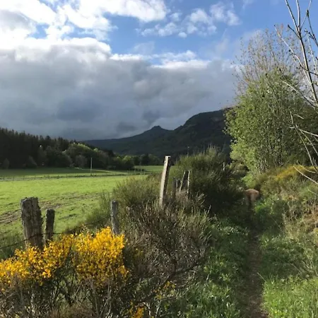 Renove Centre Mont-dore Avec Wifi - Fr-1-608-176