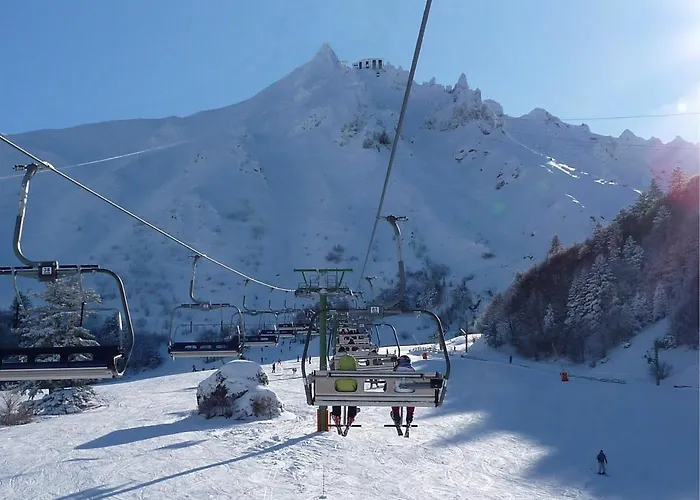 Renove Centre Mont-dore Avec Wifi - Fr-1-608-176 Le Mont-Dore