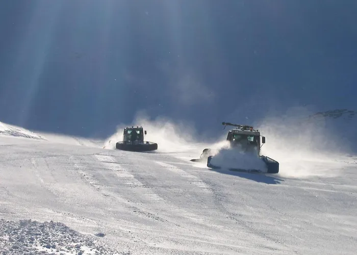 Renove Centre Mont-dore Avec Wifi - Fr-1-608-176 *