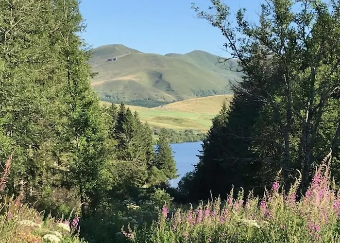 Renove Centre Mont-dore Avec Wifi - Fr-1-608-176