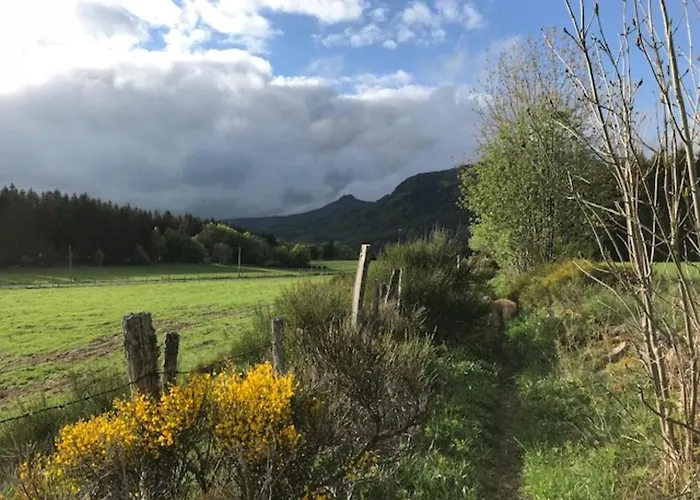 Renove Centre Mont-dore Avec Wifi - Fr-1-608-176